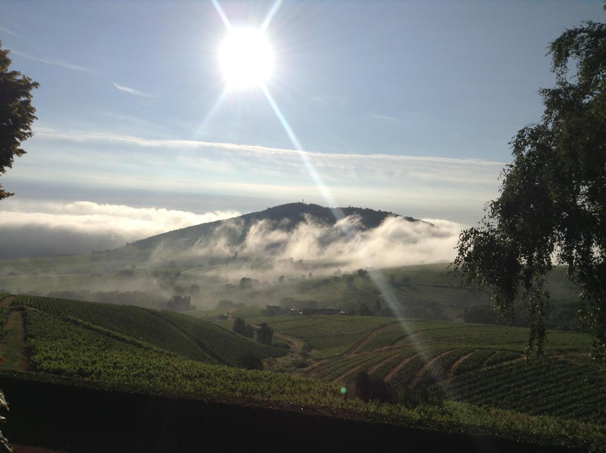 拉克华萨布里住宿加早餐旅馆 Quincié-en-Beaujolais 外观 照片