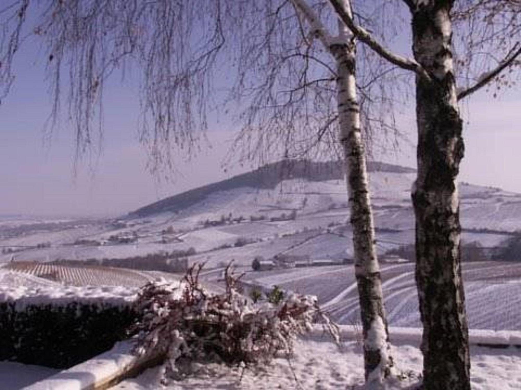 拉克华萨布里住宿加早餐旅馆 Quincié-en-Beaujolais 外观 照片