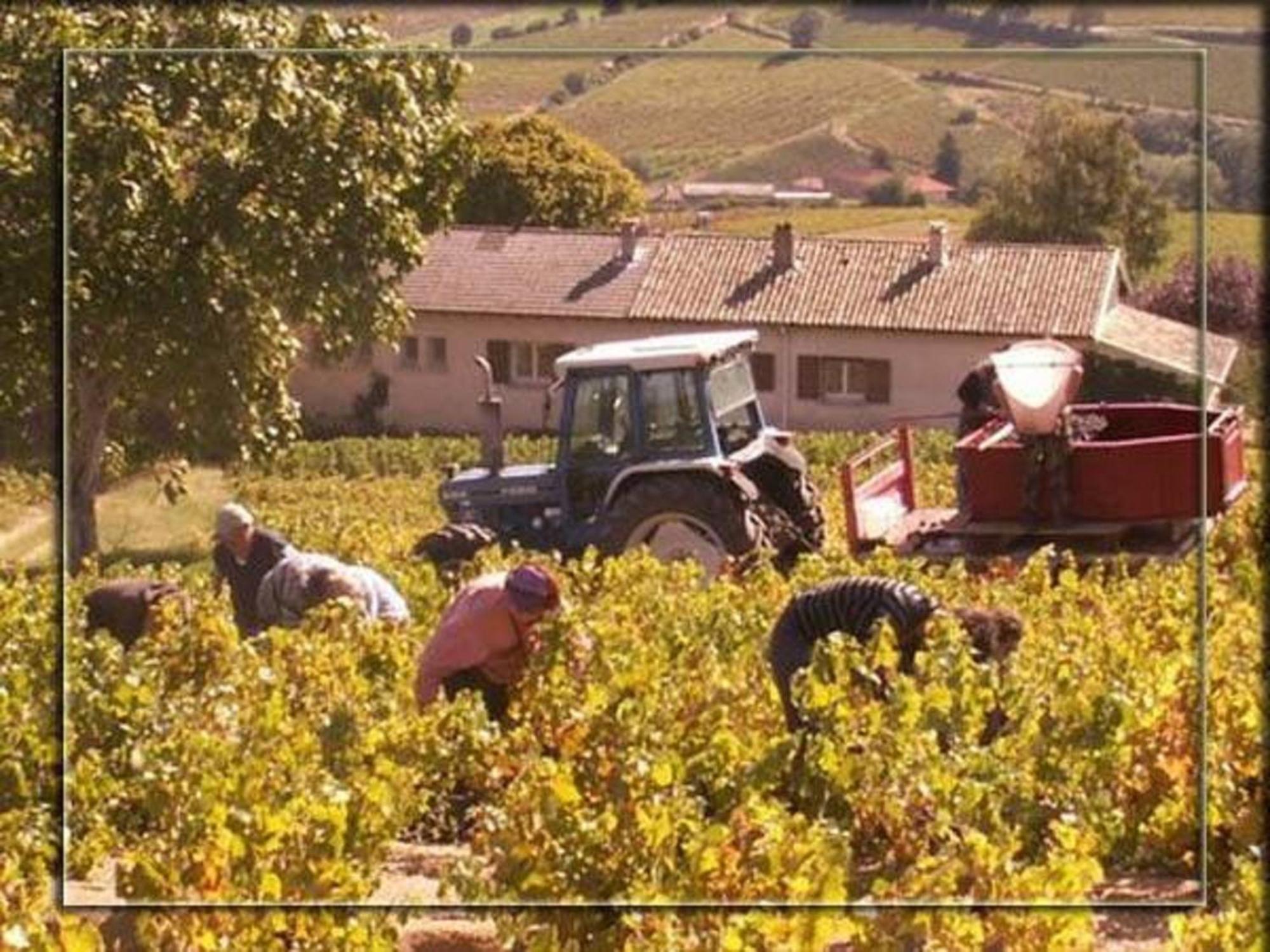 拉克华萨布里住宿加早餐旅馆 Quincié-en-Beaujolais 外观 照片